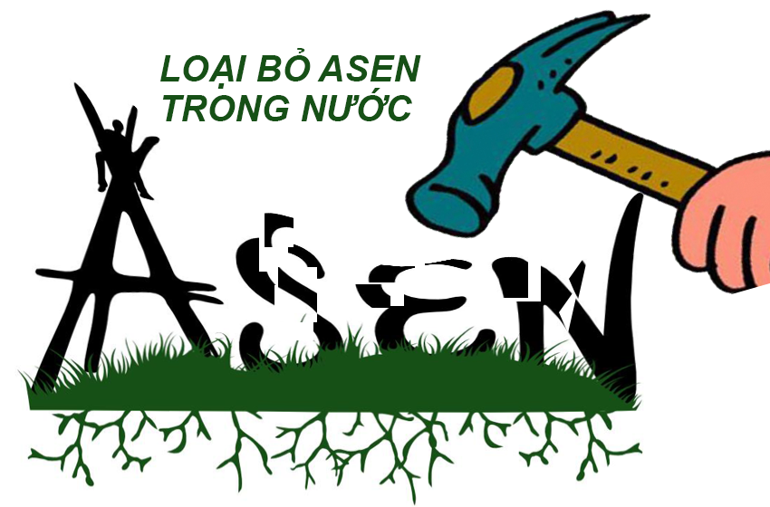 Asen là gì và cách xử lý cho nguồn nước.