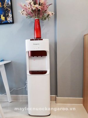 Hình ảnh thực tế cây nước Kangaroo KG39A3