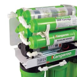 Kangaroo Omega2.jpg