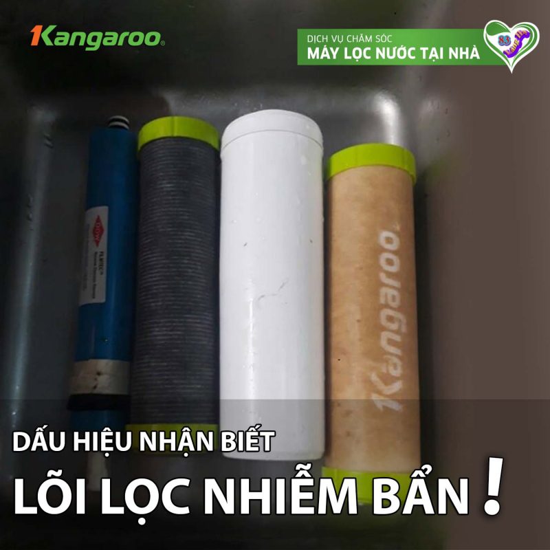 Nhung Dau Hieu Nao Co The Nhan Biet Loi Loc Nuoc Nhiem Ban Min