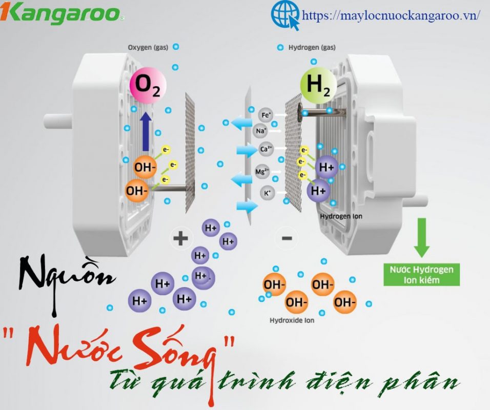 Nuoc Hydrogen Ion Kiem La Nguon Nuoc Song Tu Qua Trinh Oxy Hoa Khu Min