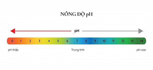 Nhung Sai Lam De Mac Phai Khi Mua May Loc Nuoc Hydrogen Ion Kiem 4