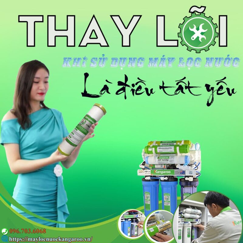 Thay Loi Loc Nuoc Khi Su Dung May Loc Nuoc La Dieu Tat Yeu Min