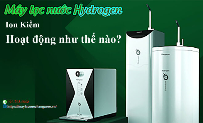 Nguyen Ly Hoat Dong May Loc Nuoc Hydrogen Iong Kiem