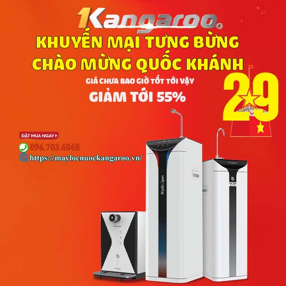 Khuyen Mai Tung Bung Chao Mung Quoc Khanh 2 9 Facebook
