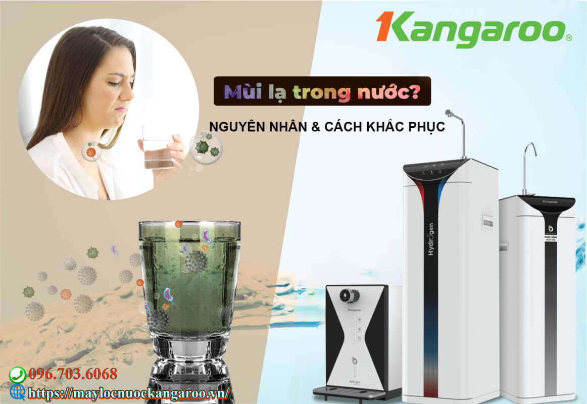 Nguyen Nhan Nuoc Tinh Khiet Co Mui La