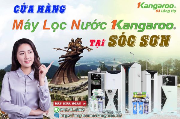 May Loc Nuoc Kangaroo Tai Soc Son Chinh Hang 100