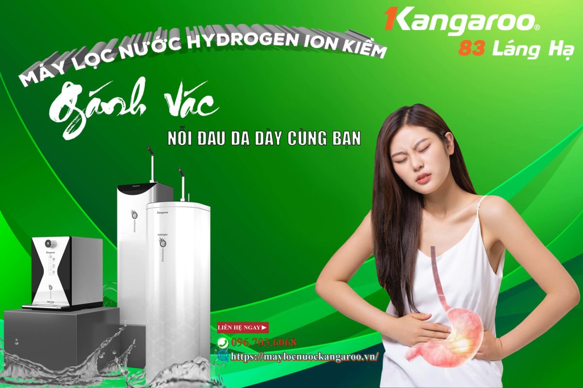 May Loc Nuoc Hydrogen Ion Kiem Ganh Vac Noi Dau Da Day Cung Ban