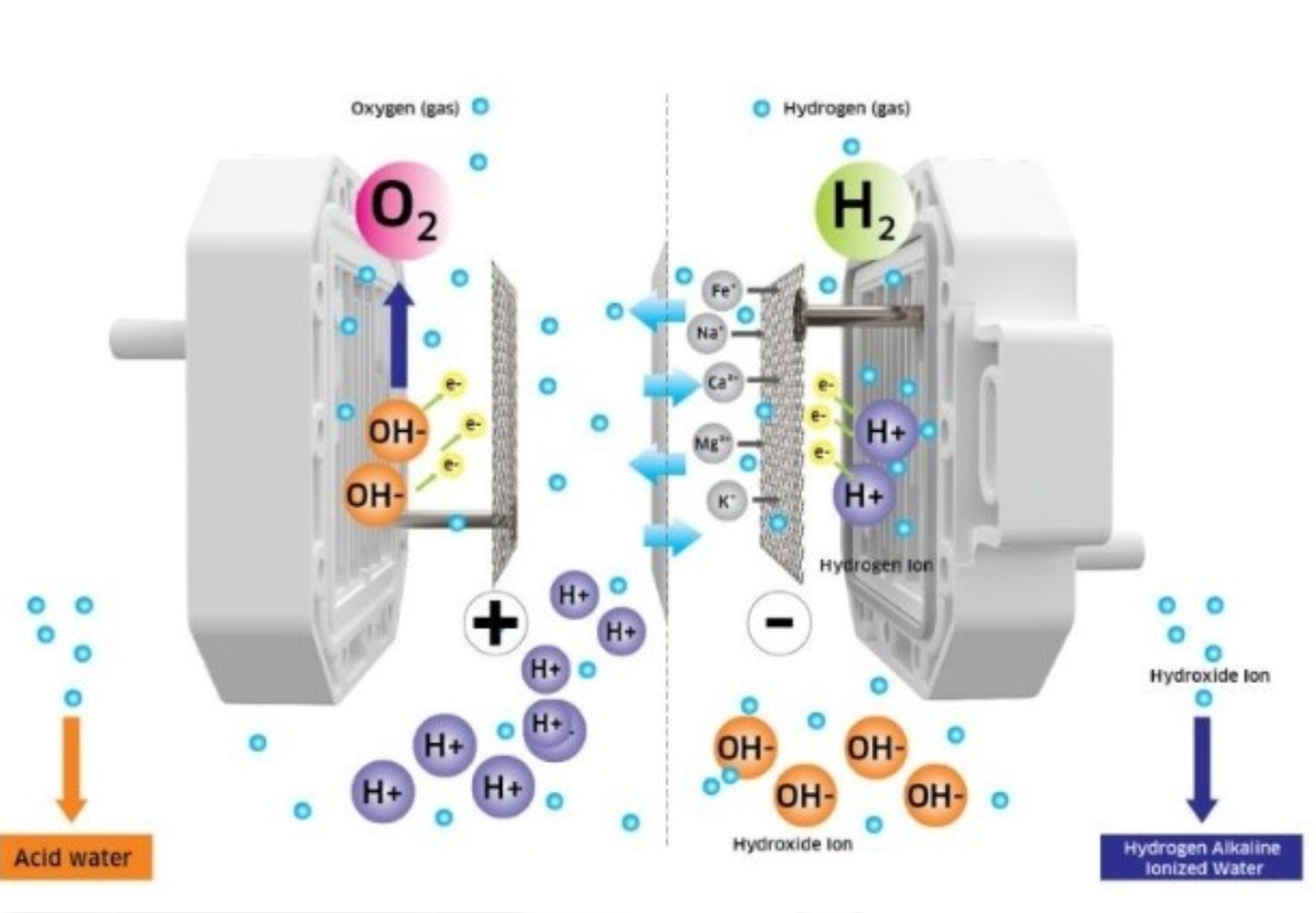 Máy lọc nước Hydrogen Kangaroo KG10HED-IOT