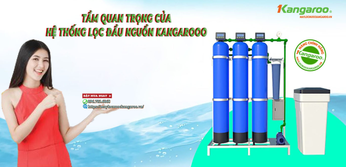 Tầm quan trọng của hệ thống lọc đầu nguồn Kagaroo?