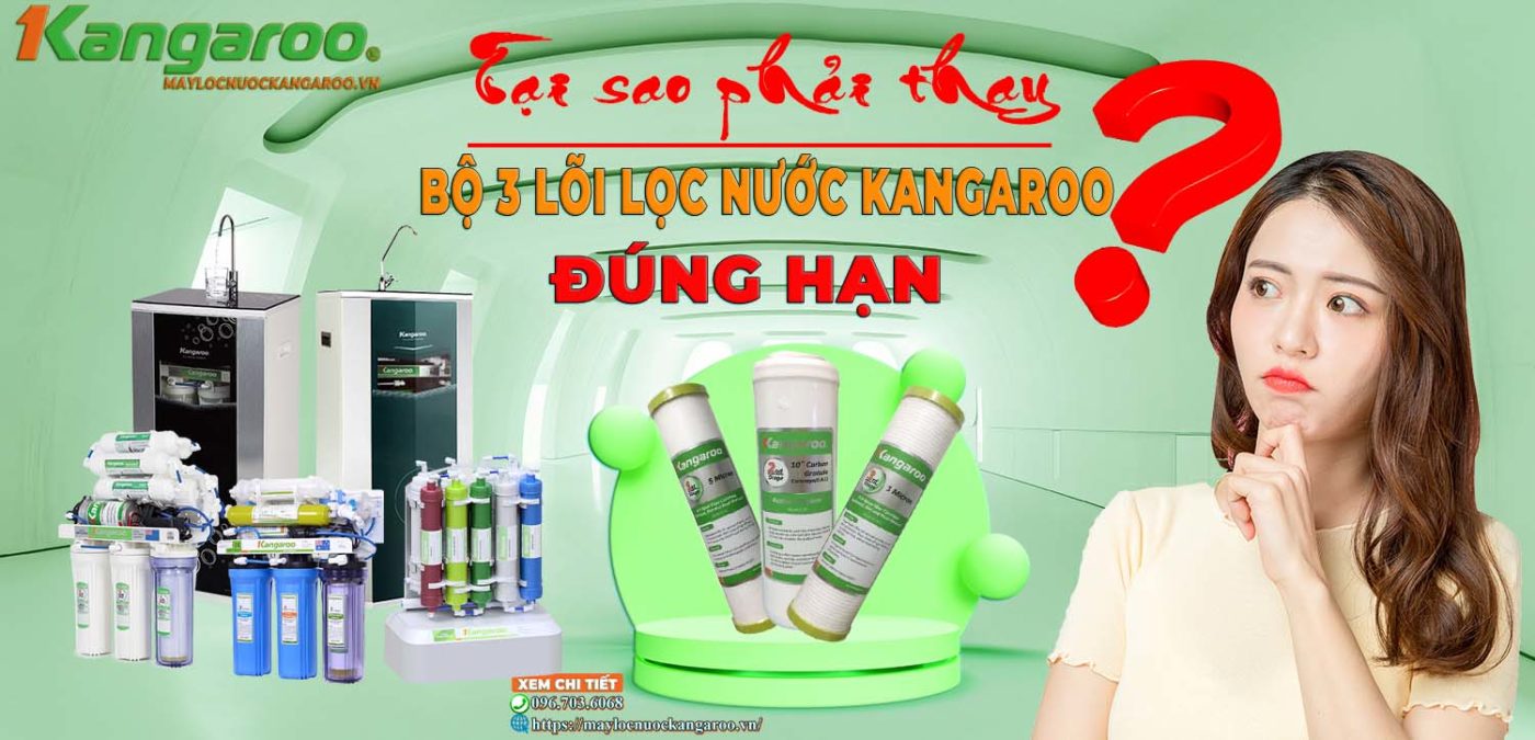 Tại sao phải thay bộ 3 lõi lọc nước Kangaroo đúng hạn?