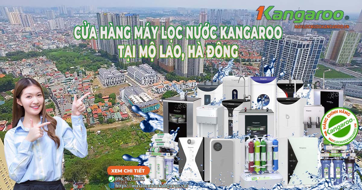 Cửa hàng máy lọc nước Kangaroo ở Mộ Lao Hà Đông Cua-hang-may-loc-nuoc-kangaroo-o-mo-lao-ha-dong-4