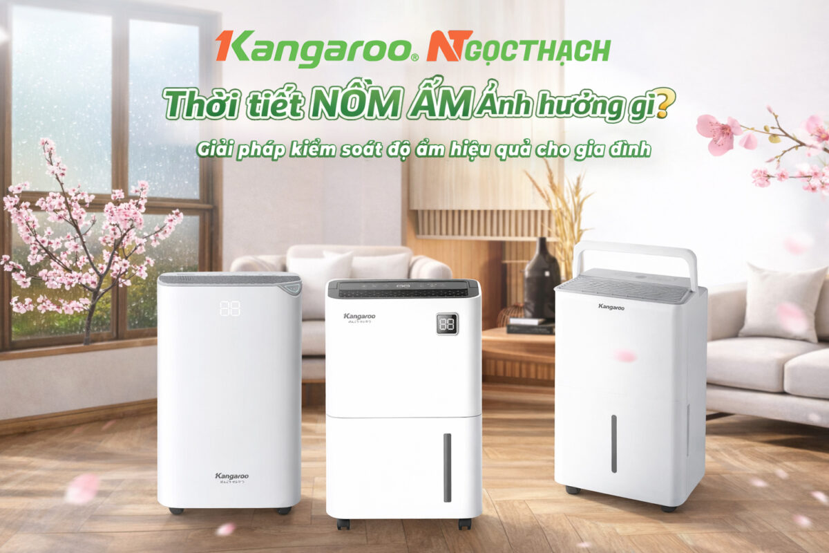 Thời tiết NỒM ẨM Ảnh hưởng gì? Giải pháp kiểm soát độ ẩm hiệu quả cho gia đình 9 maylocnuockangaroo.vn thoi tiet nom am anh huong gi giai phap kiem soat do am hieu qua cho gia dinh