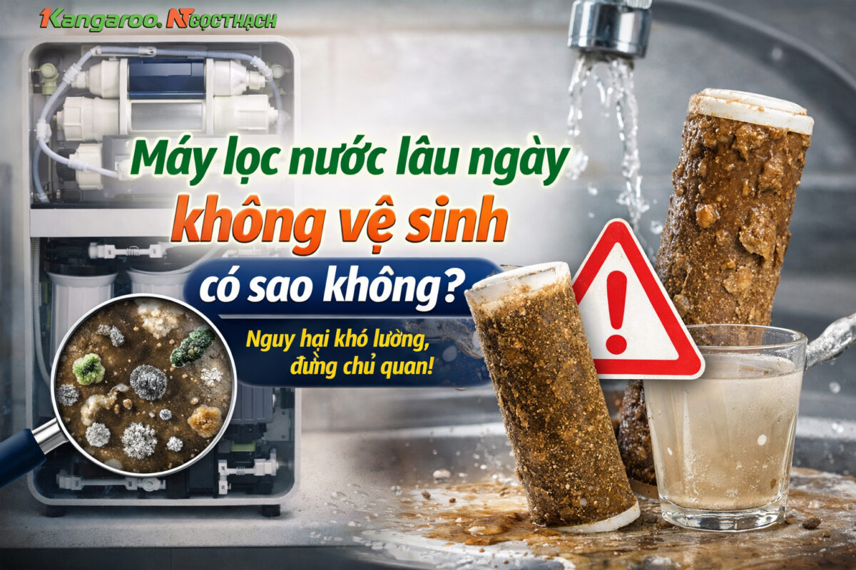 Máy lọc nước lâu ngày không vệ sinh có sao không? Những rủi ro nhiều gia đình thường bỏ qua 3 maylocnuockangaroo.vn may loc nuoc lau ngay khong ve sinh co sao khong nhung rui ro nhieu gia dinh thuong bo qua