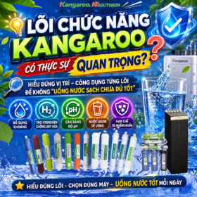 maylocnuockangaroo.vn loi chuc nang kangaroo co thuc su quan trong hay hieu dung vi tri cong dung tung loi