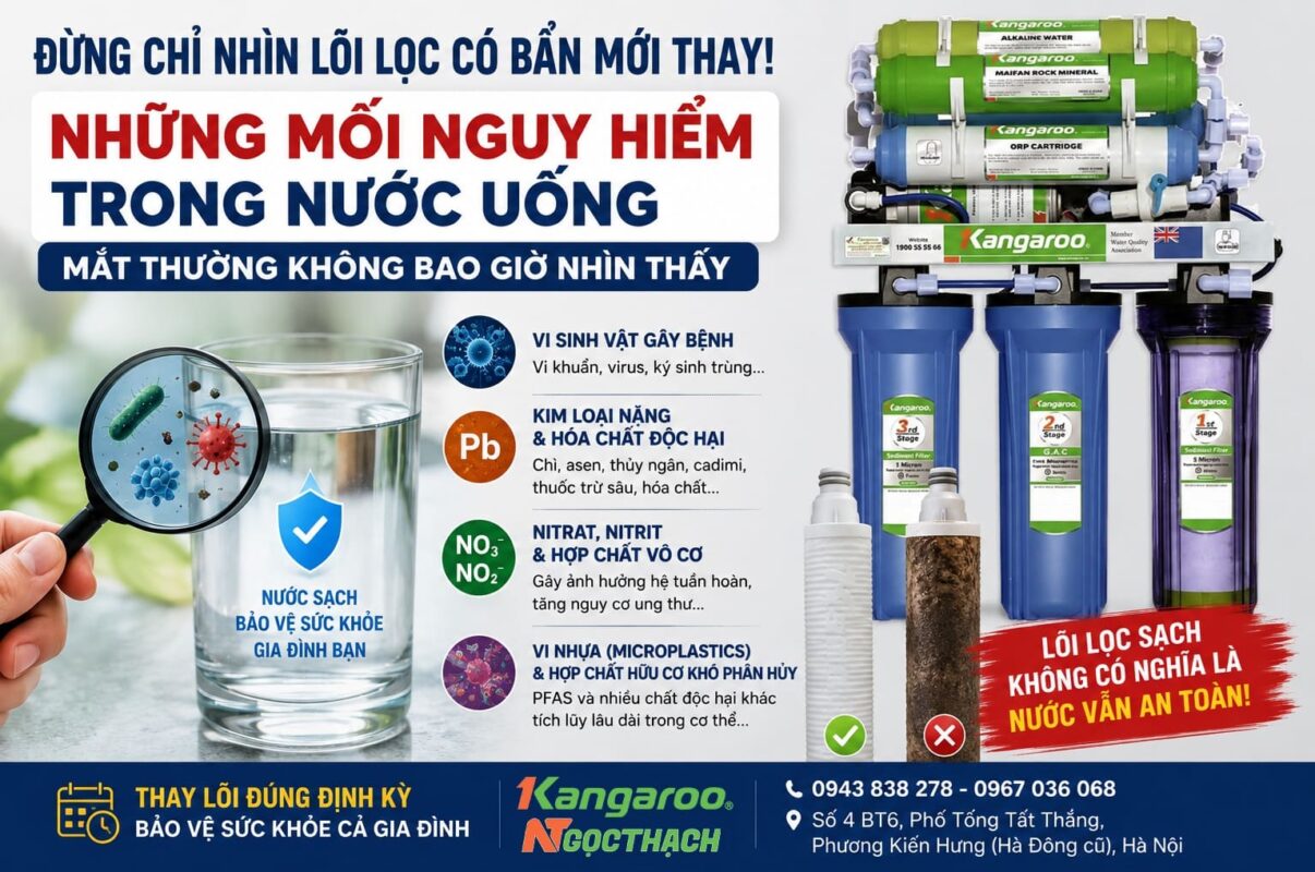 Đừng Chỉ Nhìn Lõi Lọc Có Bẩn Mới Thay – Điều Nguy Hiểm Thực Sự Lại Nằm Ở Những Thứ Mắt Thường Không Thấy 9 maylocnuockangaroo vn dung chi nhin loi loc co ban moi thay dieu nguy hiem thuc su lai nam o nhung thu mat thuong khong thay